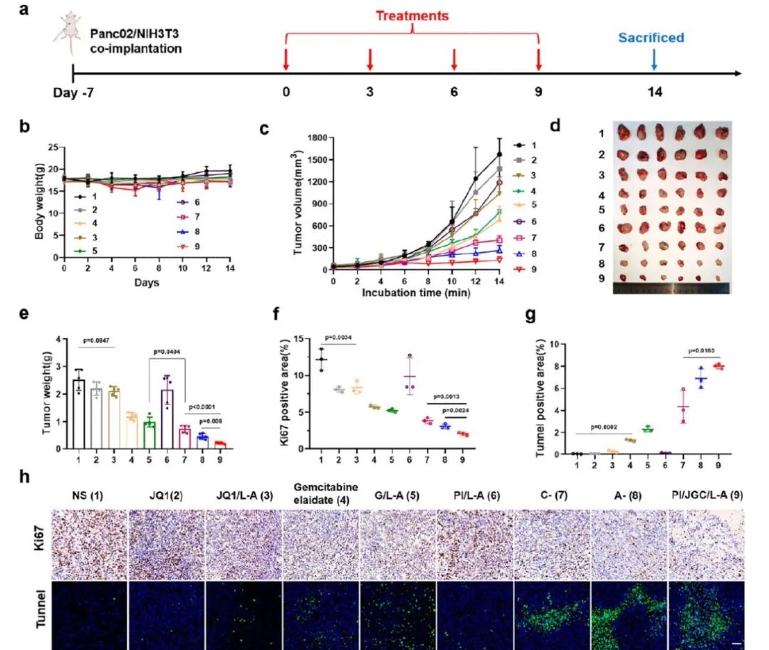 Transforming Cancer-Associated Fibroblast Barriers for Tumor Treatment