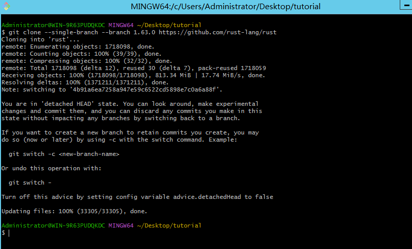 Using LLVM Pass in Rust on Windows
