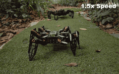 Build a Six-Legged Robot with Raspberry Pi Zero 2W and Python!