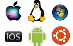 Understanding Operating Systems: Key Differences Between Windows and Linux