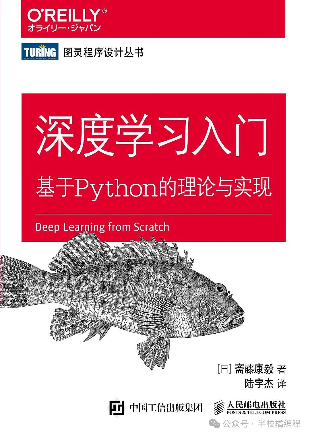 16 Must-Read Python Books for Beginners