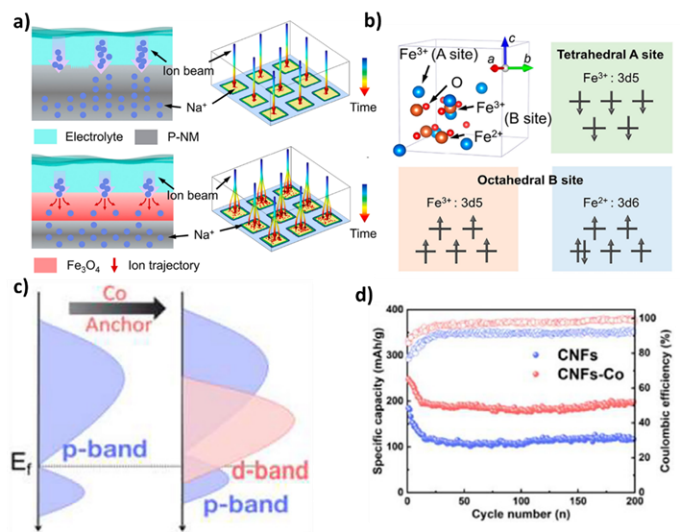 Exploring Electron Spin Polarization for Next-Gen Rechargeable Battery Innovation
