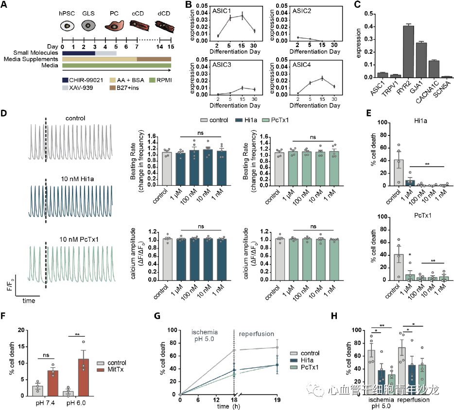 Therapeutic Inhibition of Acid Sensing Ion Channel 1a Recovers Heart Function After Ischemia-Reperfusion Injury