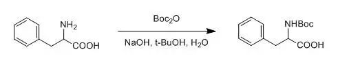 Protection of Amines with Boc Group