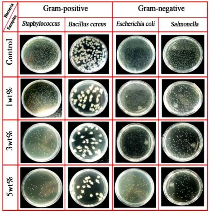Research Progress on Preparation and Mechanism of Composite Anti-Corrosion Coatings for Metal Surfaces