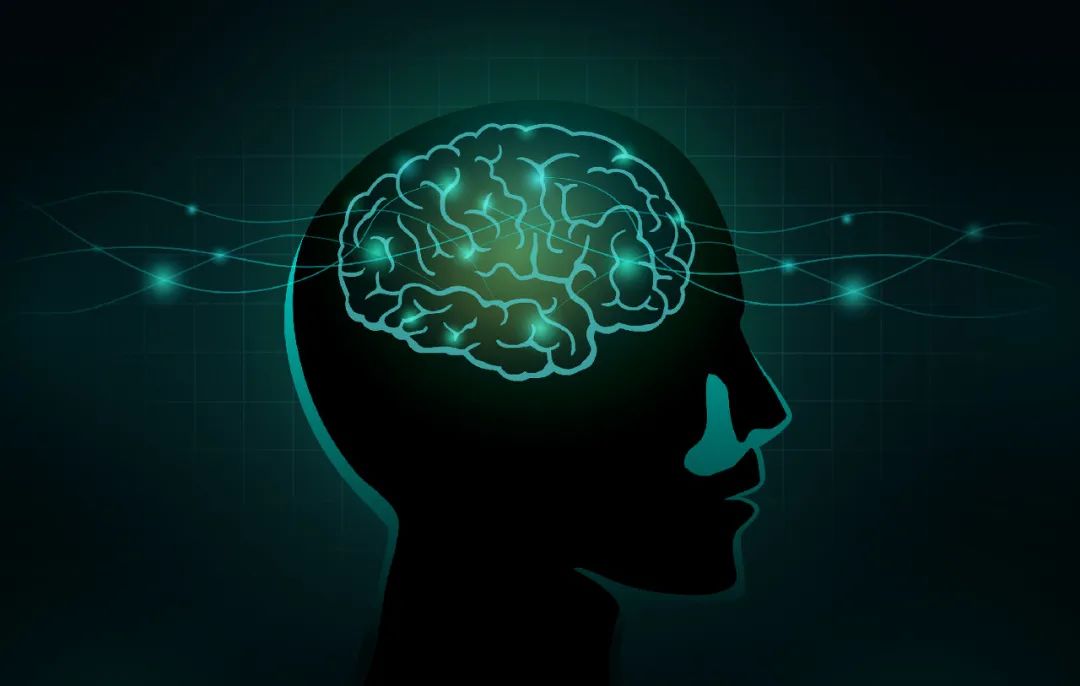 Artificial Intelligence: A Major Energy Consumer, But What About Human Intelligence?