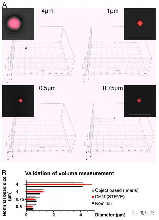 Using Holographic 3D Imaging to Observe Virus-Induced Cytopathic Effects