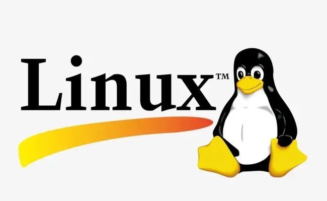 Open Source Linux Process Memory Kernel Management Module Source Code