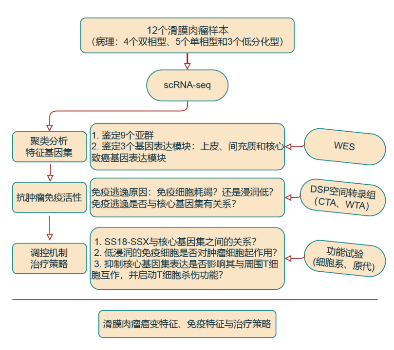 Exploring GeoMx DSP Applications in Cancer Research