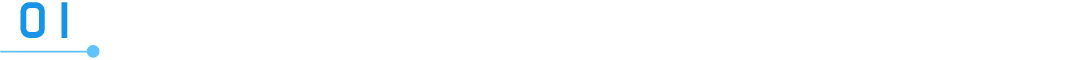 Writing Python Like Rust: A Guide