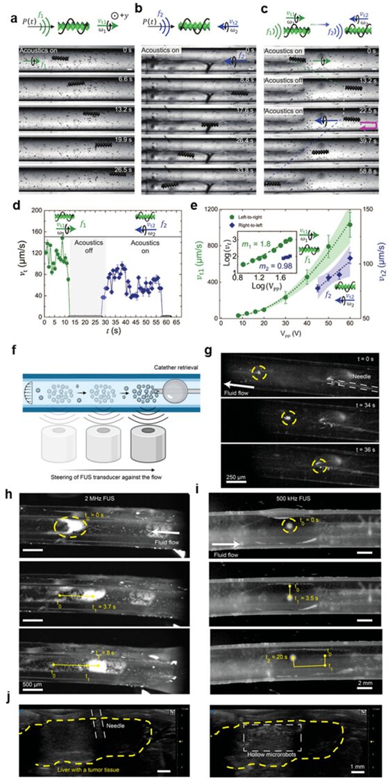 Acoustic Actuators for Micro/Nanorobot Manipulation: Current and Future Perspectives