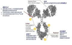 Introduction to Antibody-Drug Conjugates (ADC)