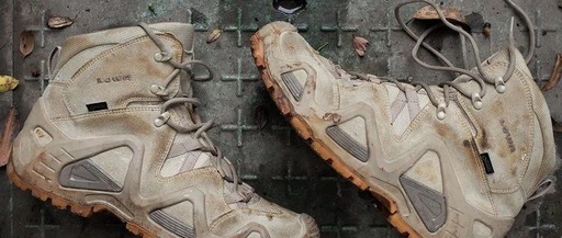 Evaluating LOWA Zephyr TF GTX Military Boots