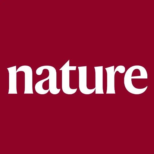 Major Challenges and Industrial Prospects of Sodium Battery Membranes