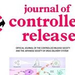 The Dual Role of Protein Corona in Tumor Targeting, Immunotherapy, and Diagnosis