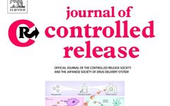The Dual Role of Protein Corona in Tumor Targeting, Immunotherapy, and Diagnosis