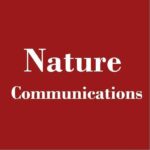 Quantum Sensor Network: A New Frontier in Dark Matter Research