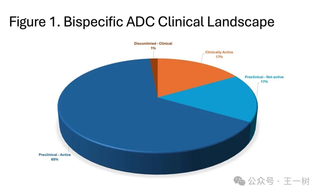 Comprehensive Understanding of ADC Bispecific Antibodies
