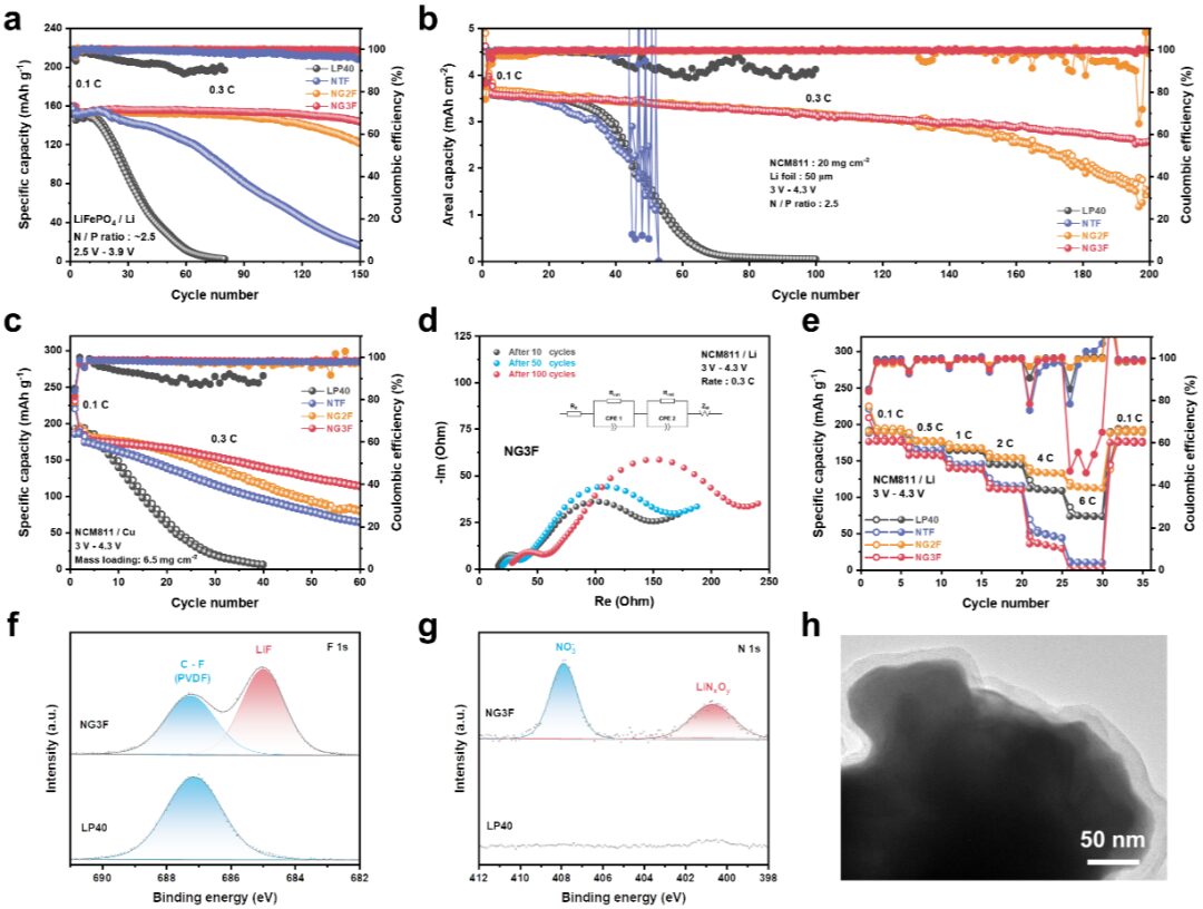 How Dipole Moment Affects Lithium Metal Anodes