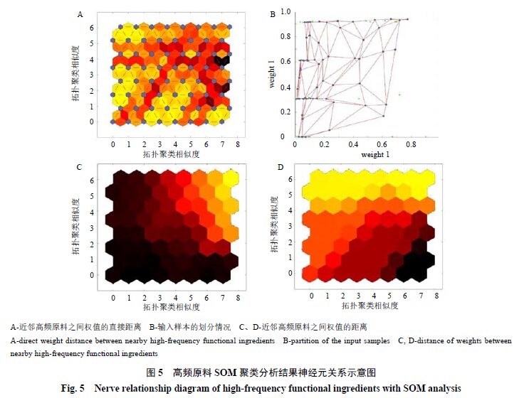 Design and Evaluation of Bletilla-Based Health Food Formulation for Gastric and Liver Protection