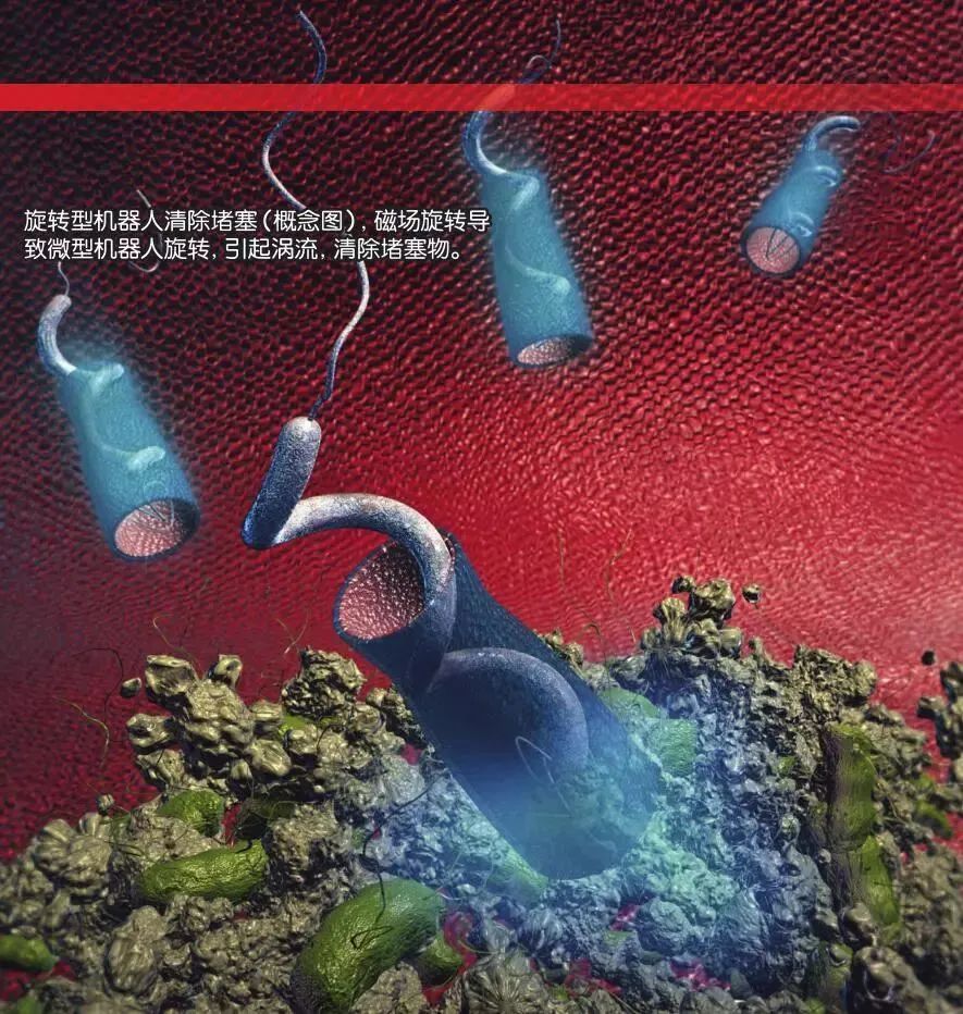 Exploring Tiny Robots Within the Human Body