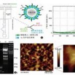Consensus on RNA Genetic Modification for siRNA Delivery Using Negative-Charged Nano-Ultrasound Contrast Agents