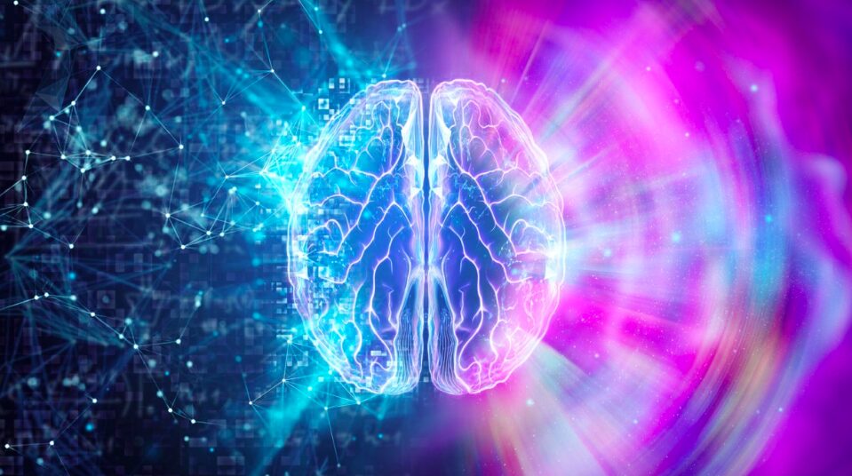 Brain-Inspired Computing Needs A Master Plan