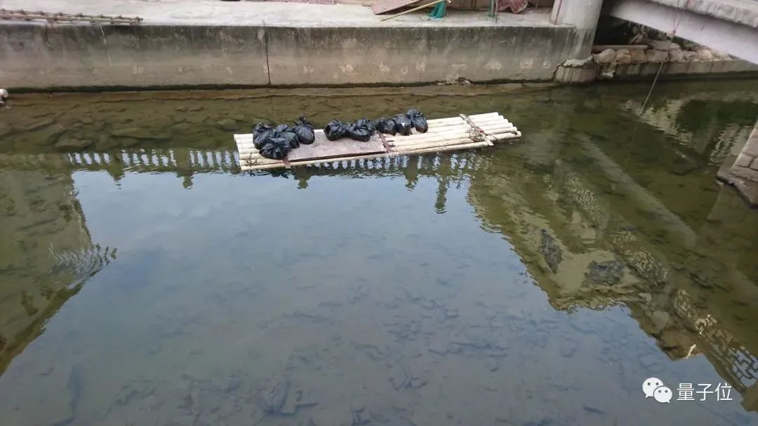 Deploying Swin Transformer in 5 Minutes