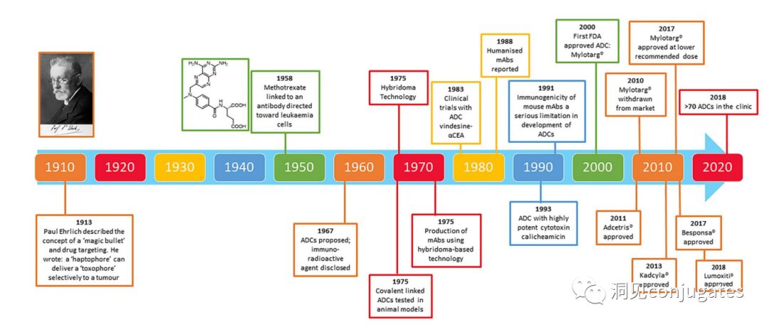 Understanding ADC: Overview, Antibody and Linker Selection