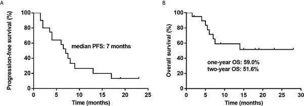Decitabine Combined With Chemotherapy as Second-Line Treatment for R/R DLBCL