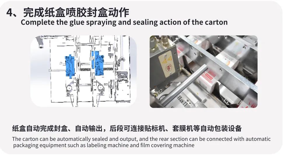 Automated Packaging Solutions for the Food Industry | Smart Box Packing Machine