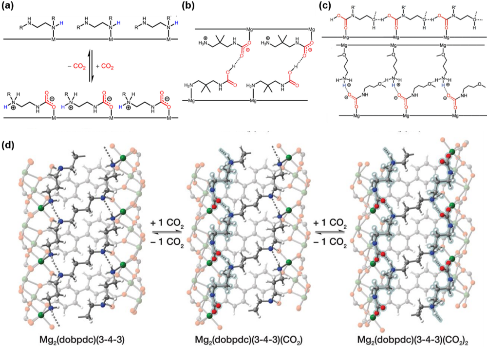 Overview of CSR by Shanghai Jiao Tong University's ITEWA Team: Adsorption Method for Direct Air Capture of CO2