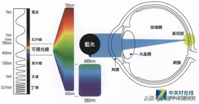 Understanding OLED vs LCD: Which Is Worse for Your Eyes?