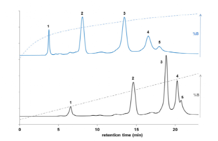 Physicochemical Analysis and Structural Characterization of Antibody-Drug Conjugates (ADCs)