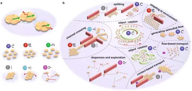 Reconfigurable Microrobotic Collectives Illuminate Future Medicine and Environmental Remediation