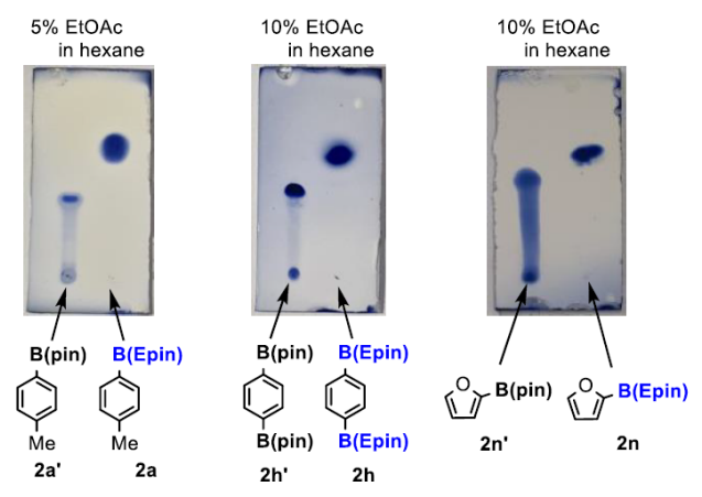 New Stable Aryl Boronic Esters on Silica Gel with Higher Suzuki-Miyaura Reaction Activity!