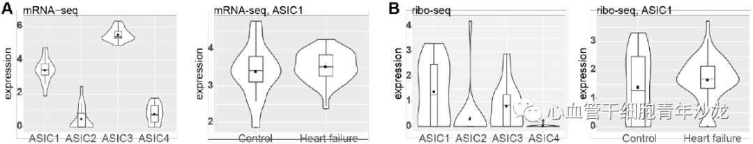 Therapeutic Inhibition of Acid Sensing Ion Channel 1a Recovers Heart Function After Ischemia-Reperfusion Injury