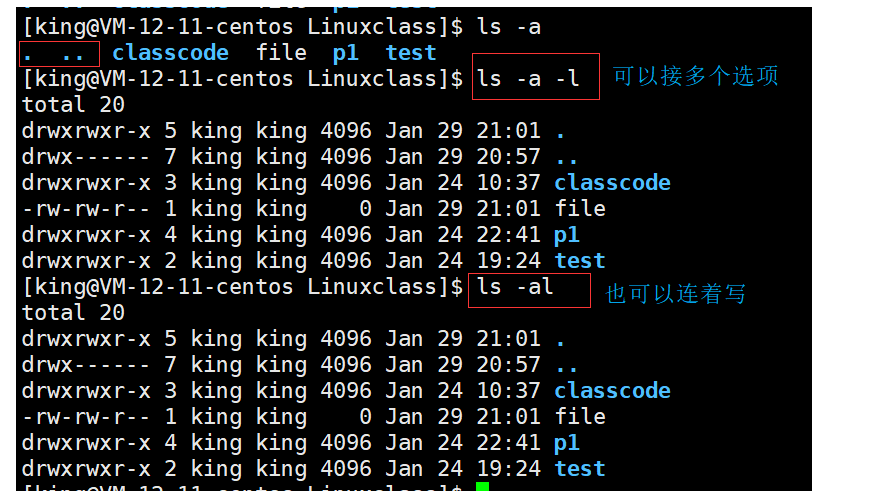 Comprehensive Guide to Common Linux Commands