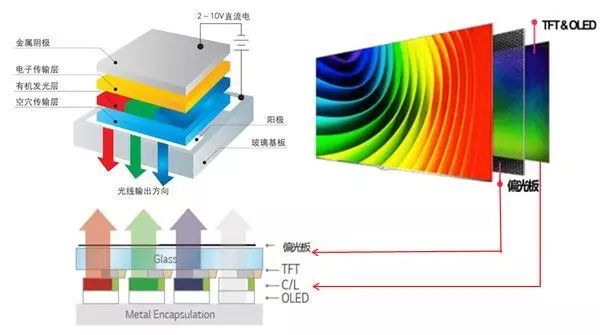 Comparing LCD and OLED Screens: Which is Better?