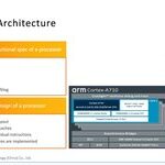 Arm Server Software Ecosystem and Performance Analysis