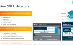 Arm Server Software Ecosystem and Performance Analysis