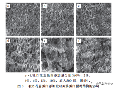 Effects of Peony Flower Stamen Protein on Dough and Gluten Properties