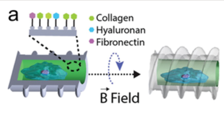 Review: Medical Micro/Nanorobots in Precision Medicine