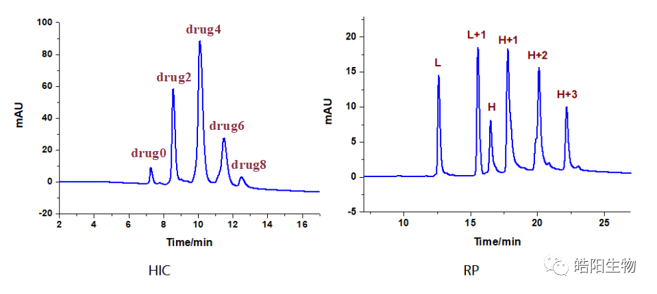 Physicochemical Analysis and Structural Characterization of Antibody-Drug Conjugates (ADCs)