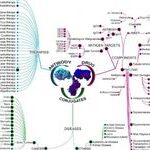 Global Landscape of ADC from a God’s Eye View