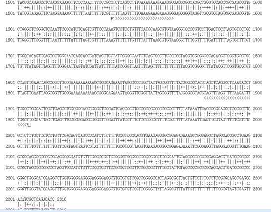 Bisulfite Sequencing PCR (BSP) Method