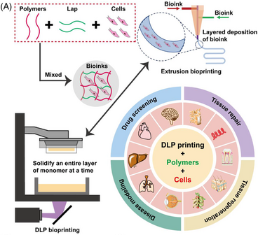 Light-Cured Bio 3D Printing: From Materials to Parameters to Applications