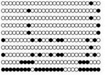 Bisulfite Sequencing PCR (BSP) Method