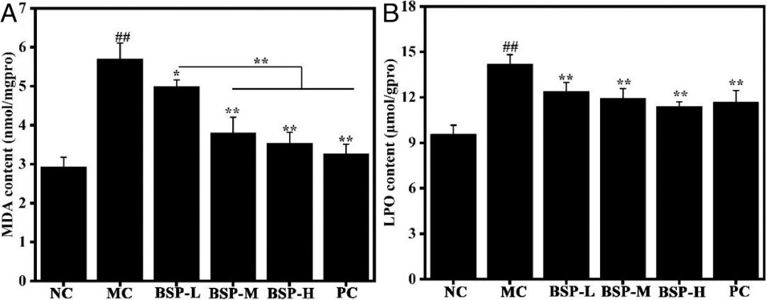 Extraction, Purification, and Gastroprotective Activity of Glucomannan from Bletilla Striata