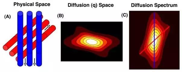 Understanding Q-Space Imaging in Diffusion MRI